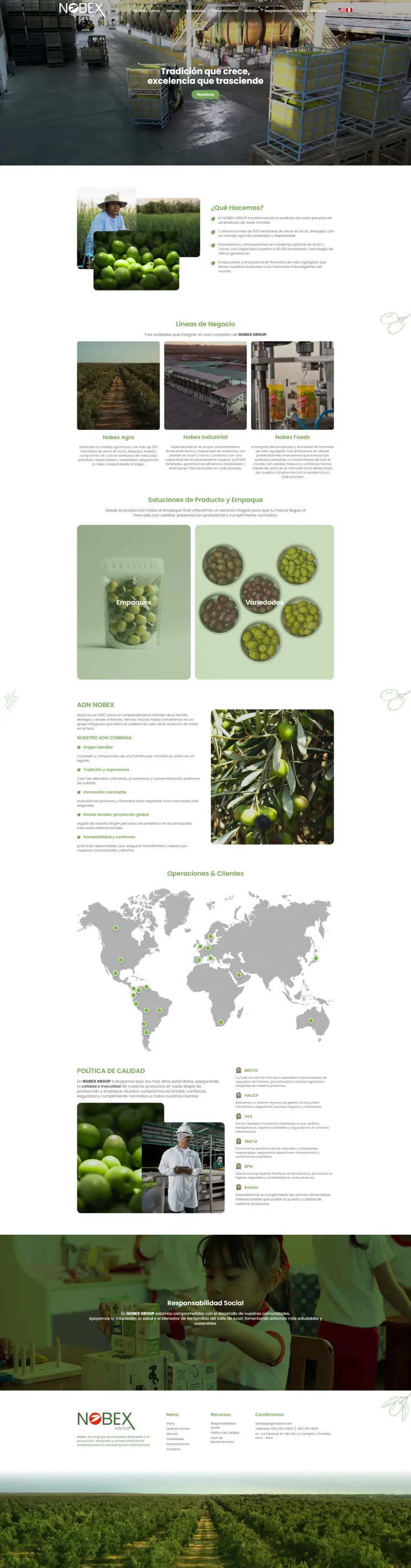 Portada del proyecto Nobex Group
